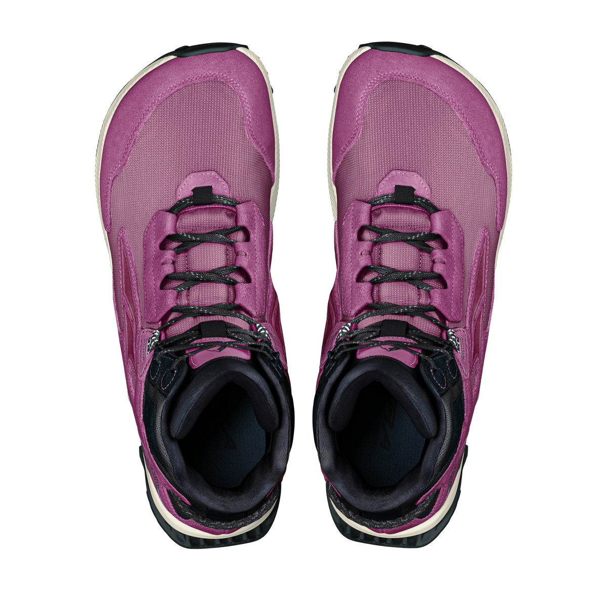 Purple/Black