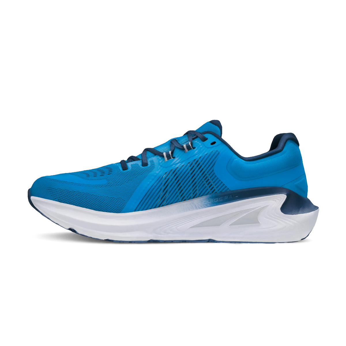 Blue/White