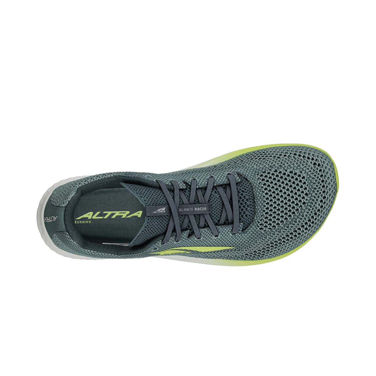 Navy/Lime