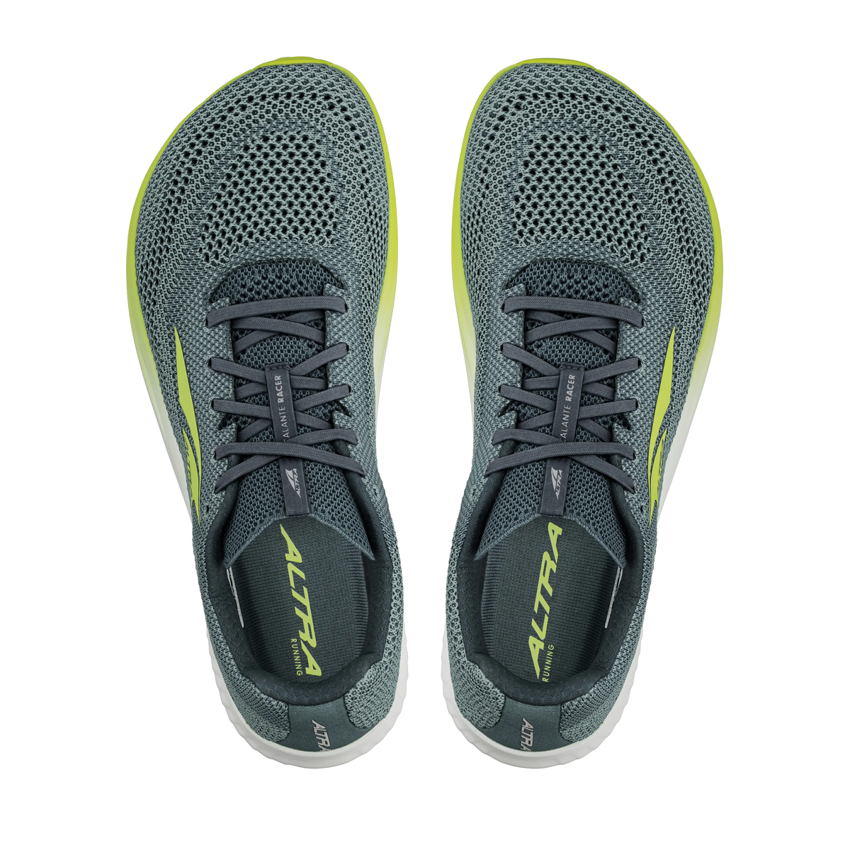 Navy/Lime