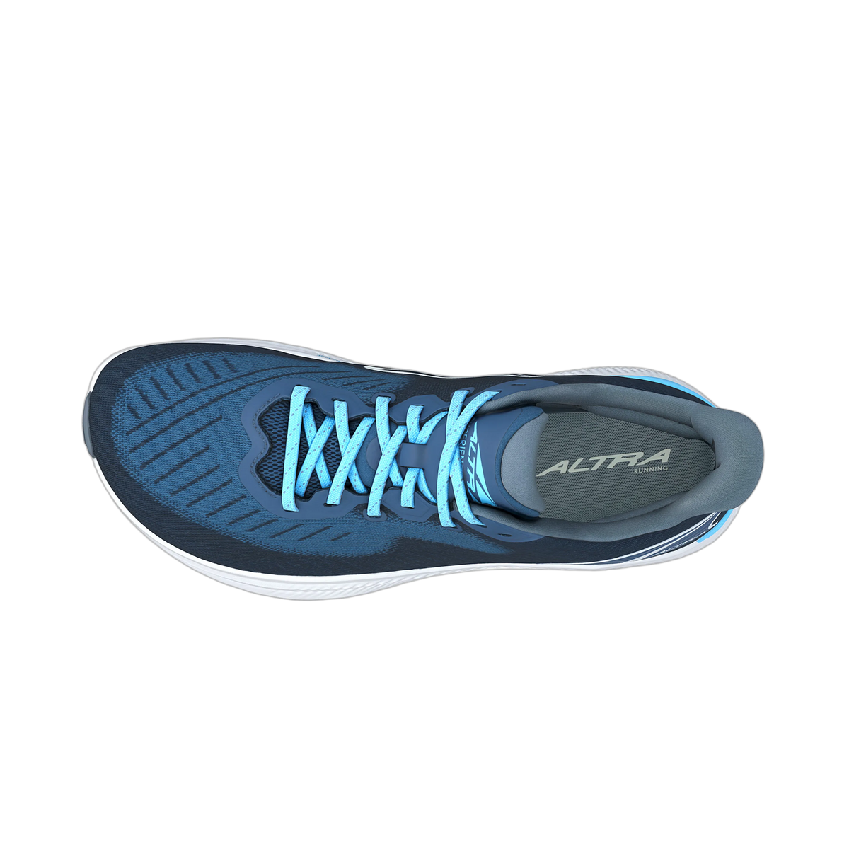 Navy/Light blue