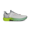 Gray/Lime