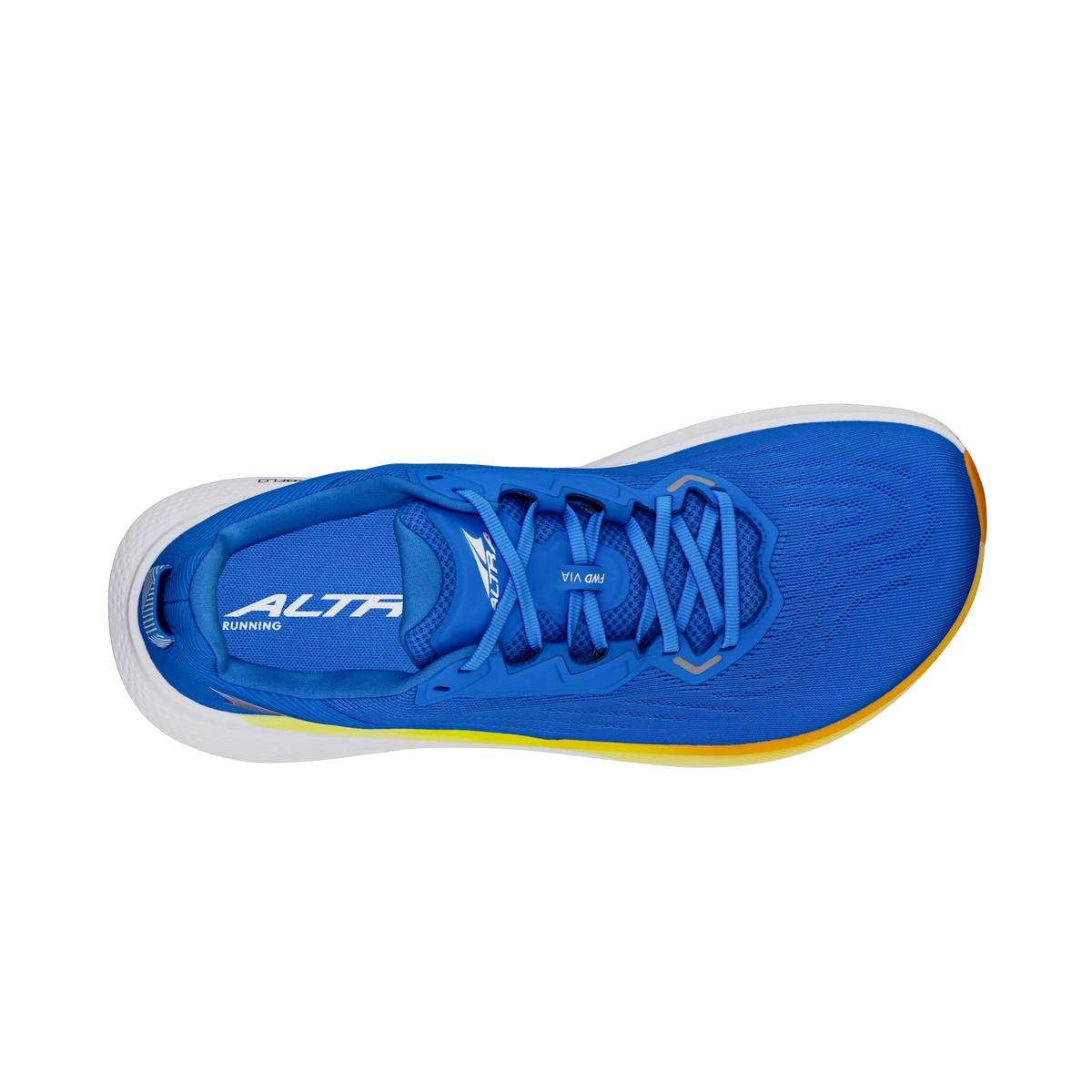 Blue/Yellow