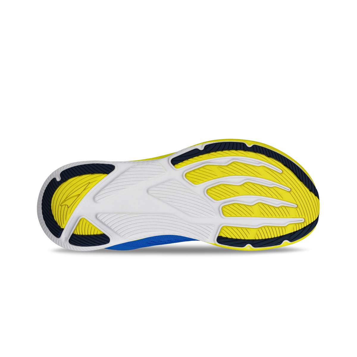 Blue/Yellow