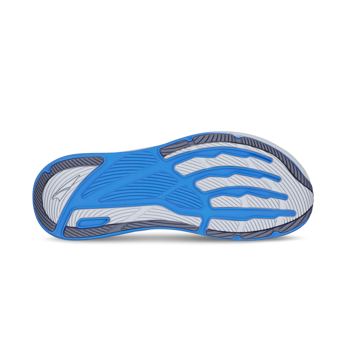 Blue/Gray