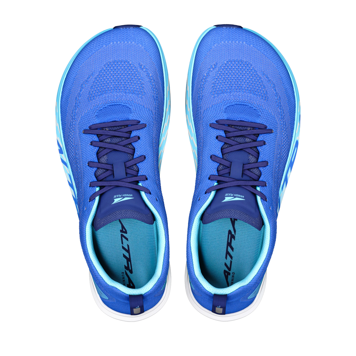 Victoria Blue/Bluefish
