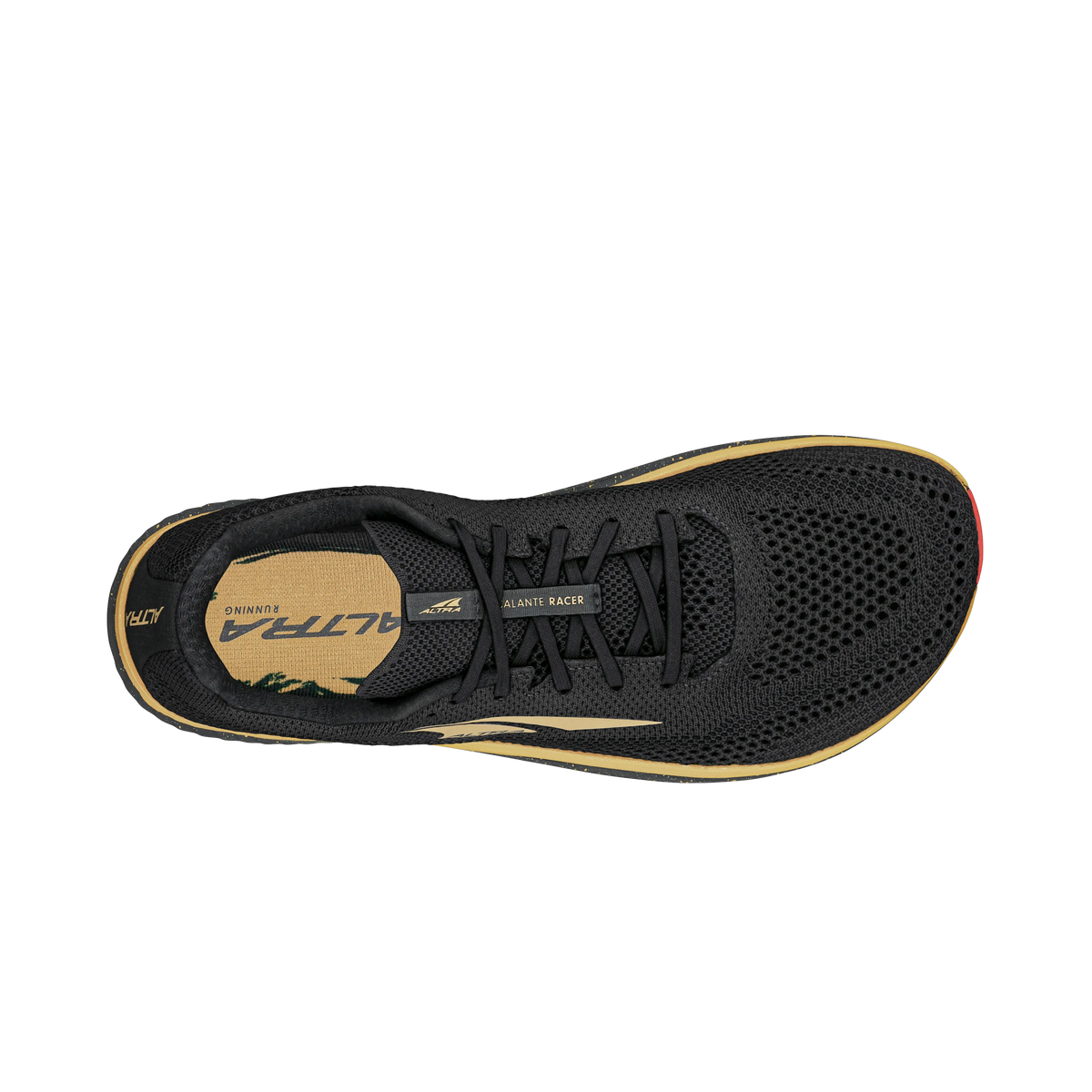 Black/Gold