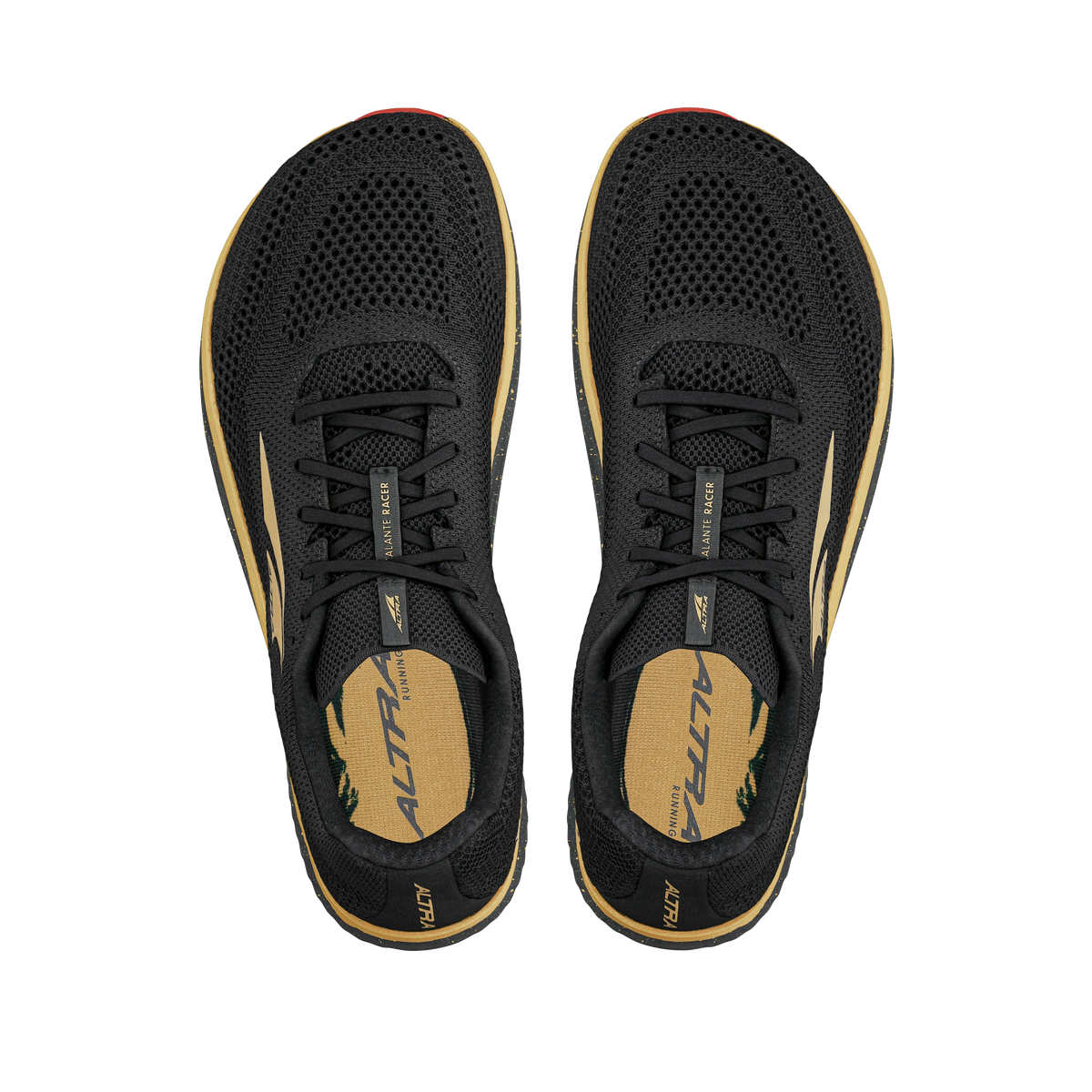 Black/Gold
