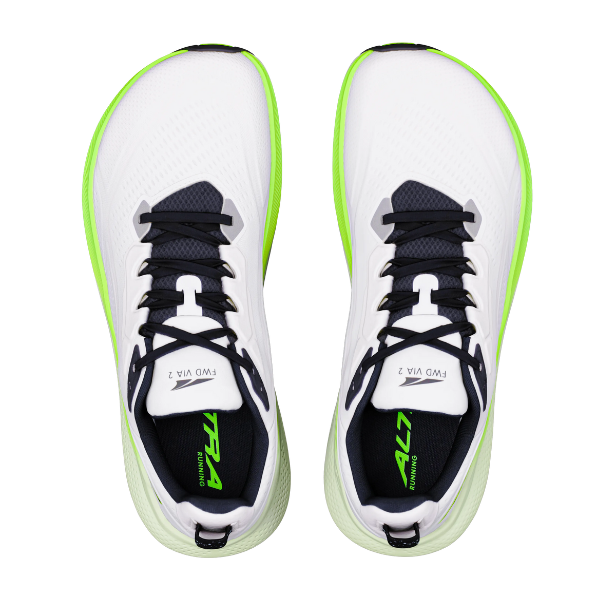 White/Black/Green Gecko