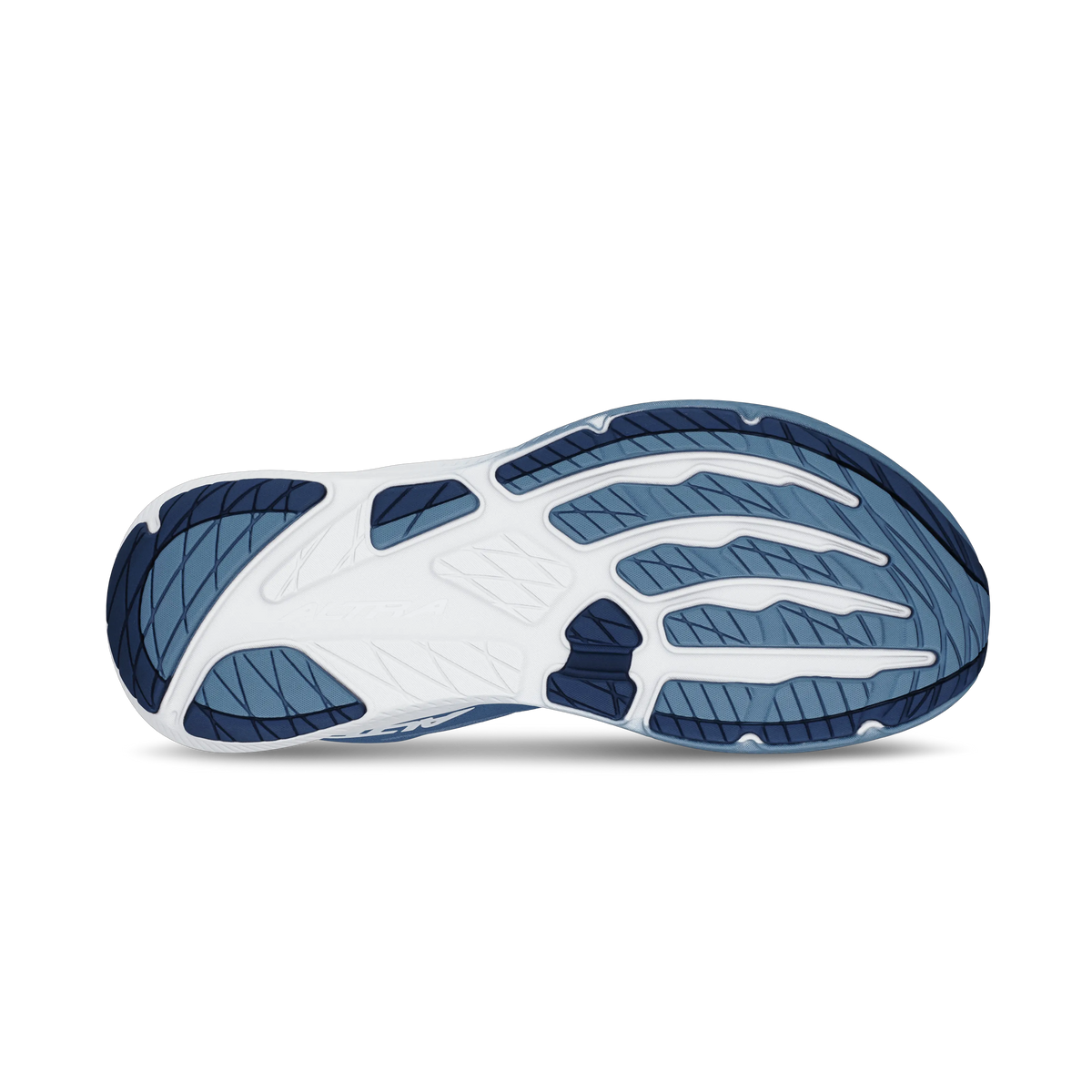 Navy/Light blue