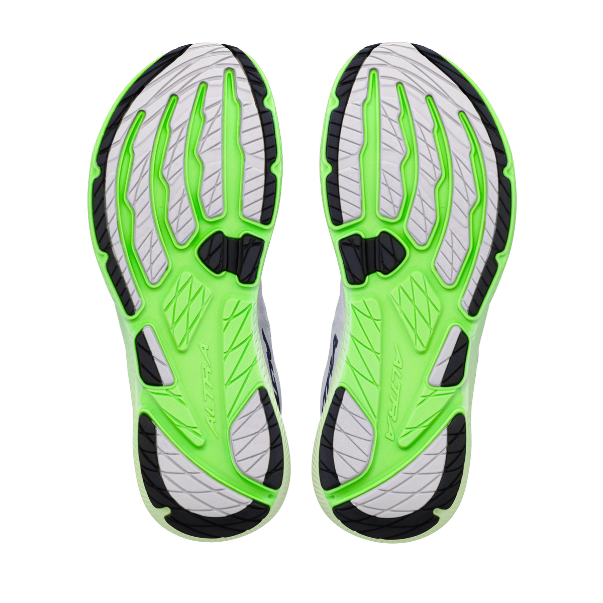 White/Black/Green Gecko