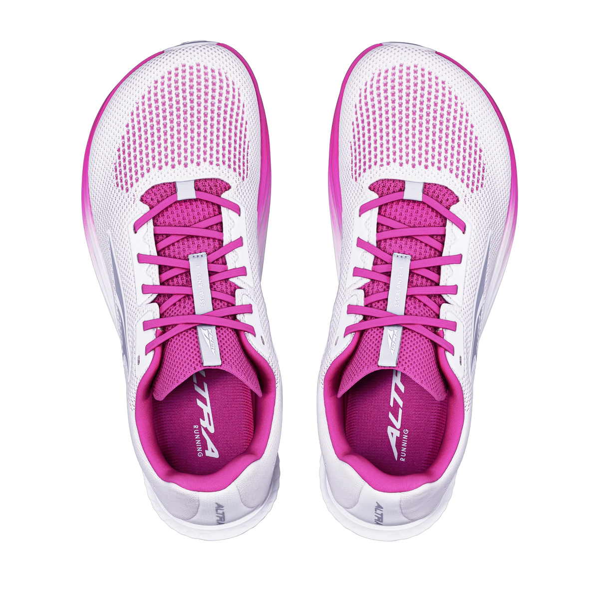 White/Rose Violet
