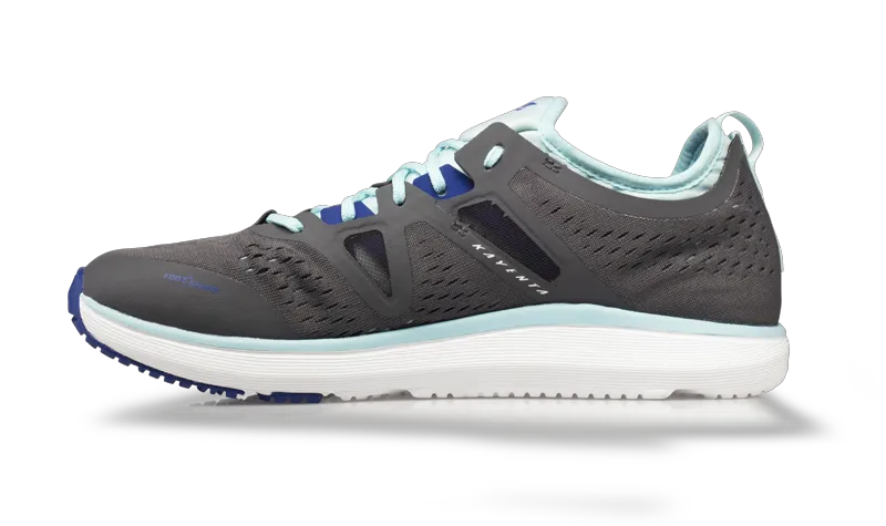 Gray/Blue